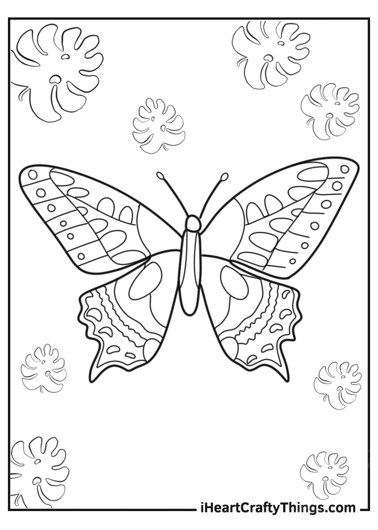 Printable butterfly picture to color