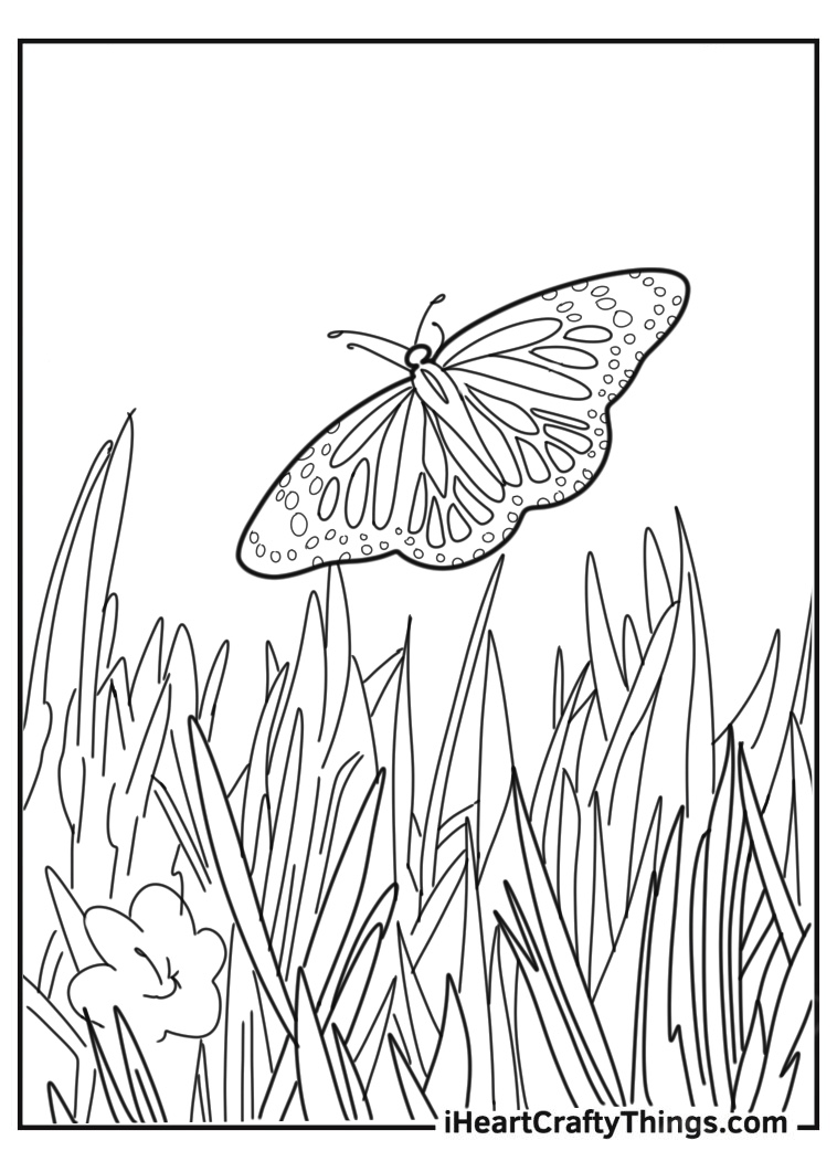 Butterfly coloring pages to print