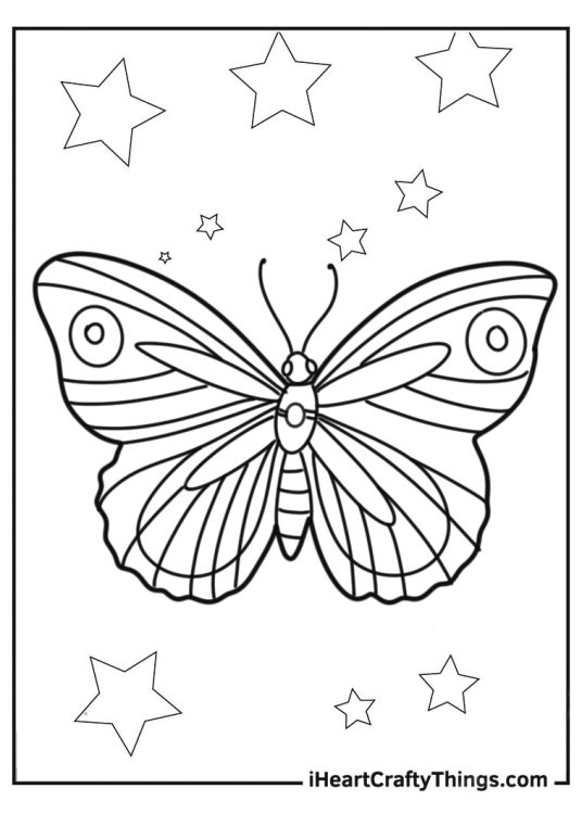 Small butterfly coloring pages