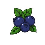 How to Draw A Blueberry image