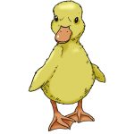 How to Draw A Cute Duckling image