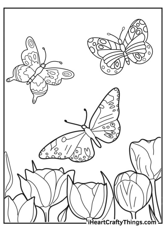 Cute butterfly coloring page