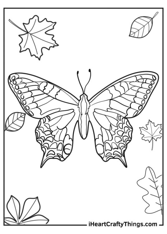 Coloring pages printable butterfly