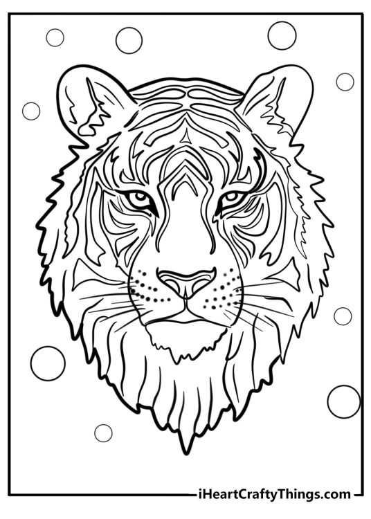 Detailed coloring picture for adults presenting tiger head with small circles all around it