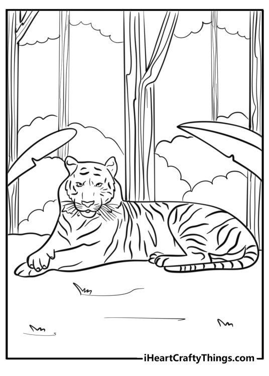 Coloring page presenting majestic tiger resting on the ground surrounded by nature
