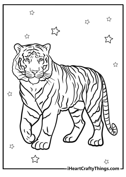 Picture to print and color presenting adult tiger with lots of stars in the background