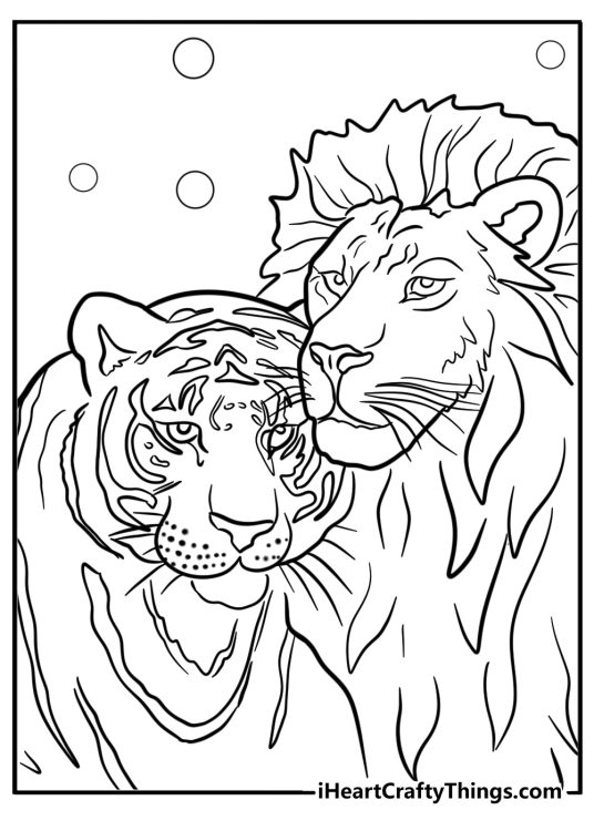 Tiger-inspired coloring poster featuring a close-up portrayal of a tiger and lion posing together side by side
