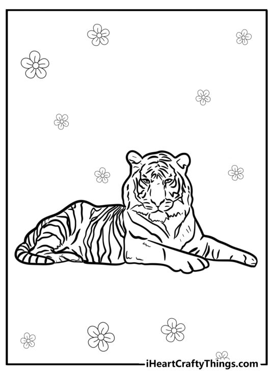 Coloring picture for kids capturing resting tiger with flowers in the background