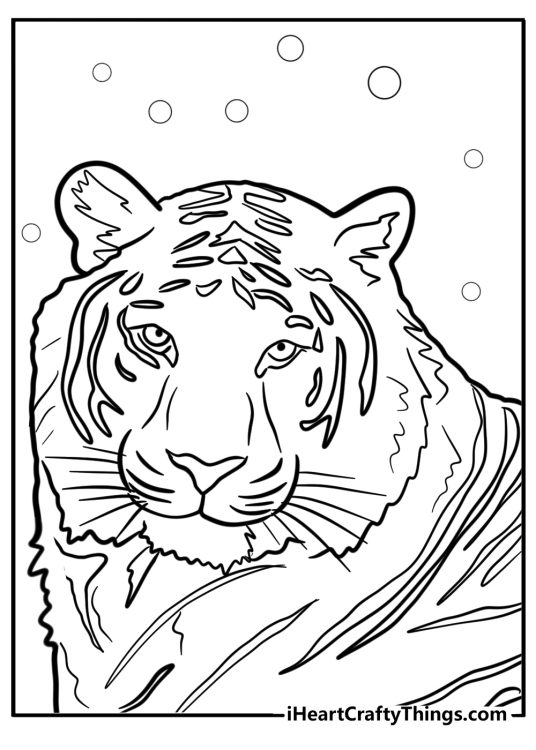 Detailed printable coloring sheet presenting a close-up portrayal of a siberian tiger