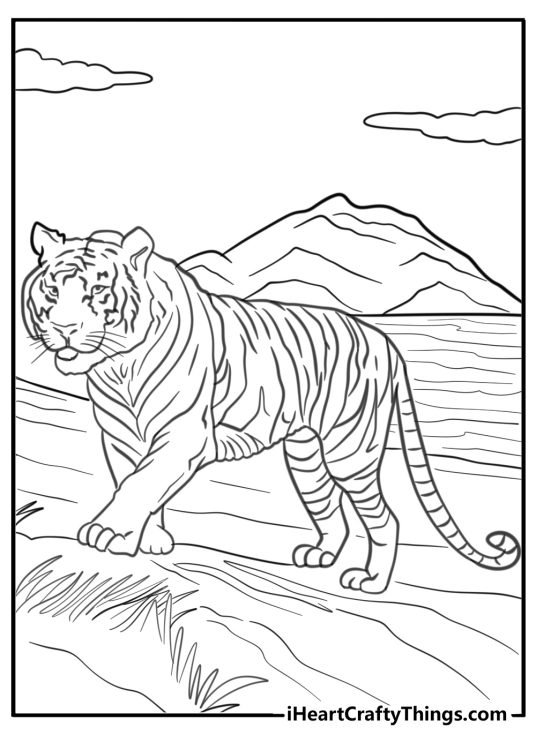 Coloring image featuring tiger posing outdoors with a river and mountains in the background