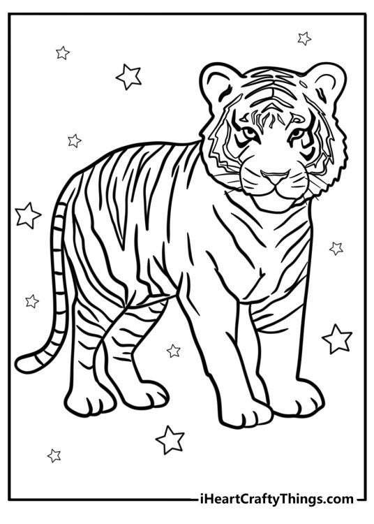 Coloring image of a majestic tiger with exclusive stripes pattern surrounded by stars