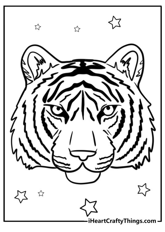 Coloring sheet for children presenting close-up tiger face with stars in the background