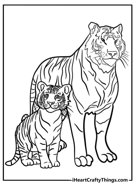 Detailed coloring picture for children presenting adult tiger posing with its cub