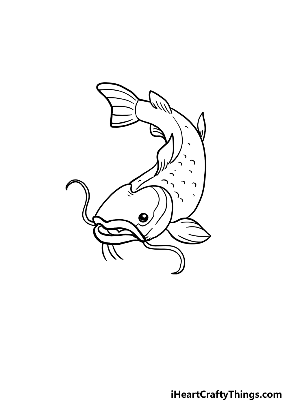 How to Draw A Catfish step 5