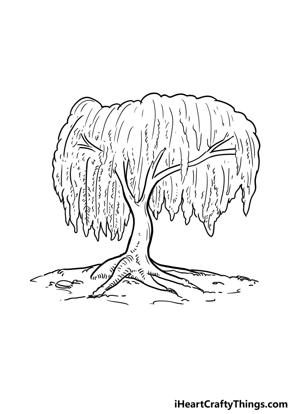 How to Draw A Willow Tree step 5