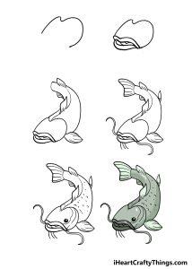 How To Draw A Catfish Step By Step!