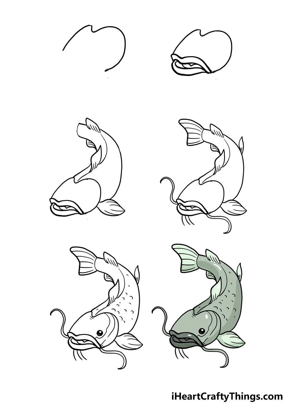 How To Draw A Catfish Step By Step! (2024)