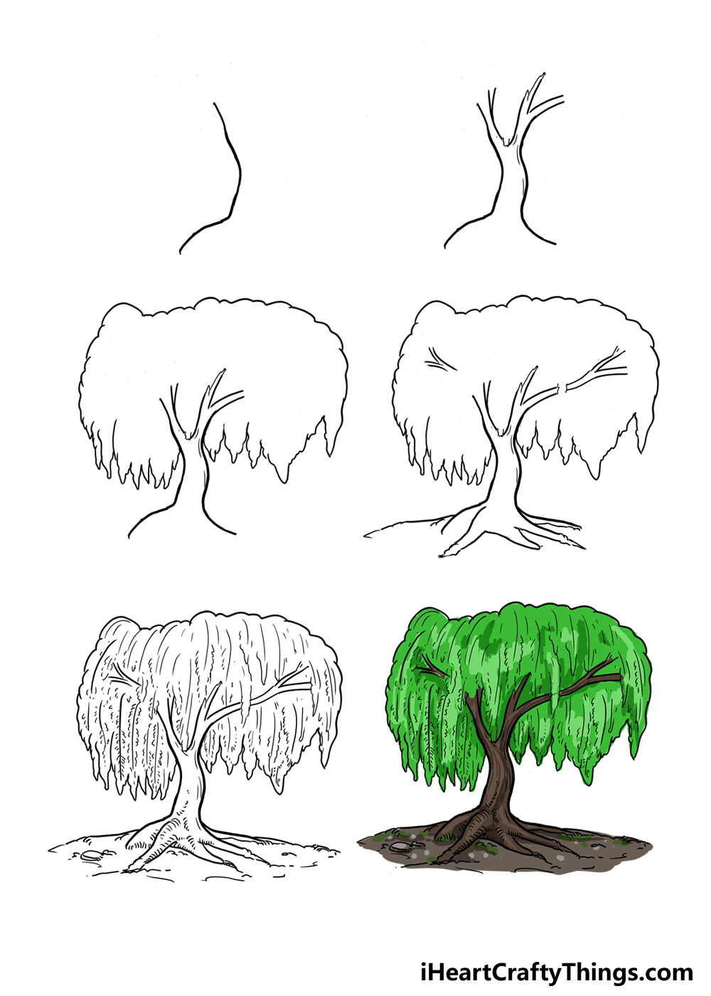 How to Draw A Willow Tree