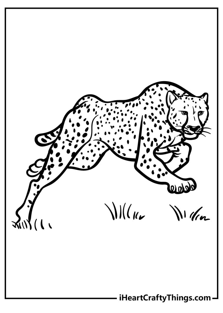 Cheetah Coloring Pages (100% Free Printables)