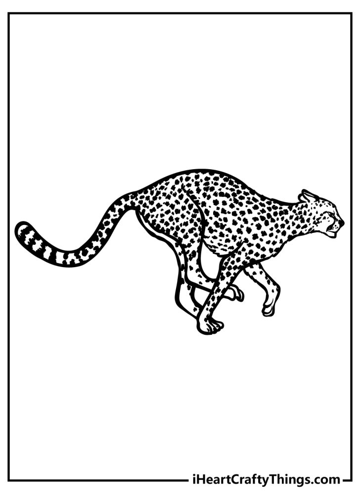 Cheetah Coloring Pages (100% Free Printables)