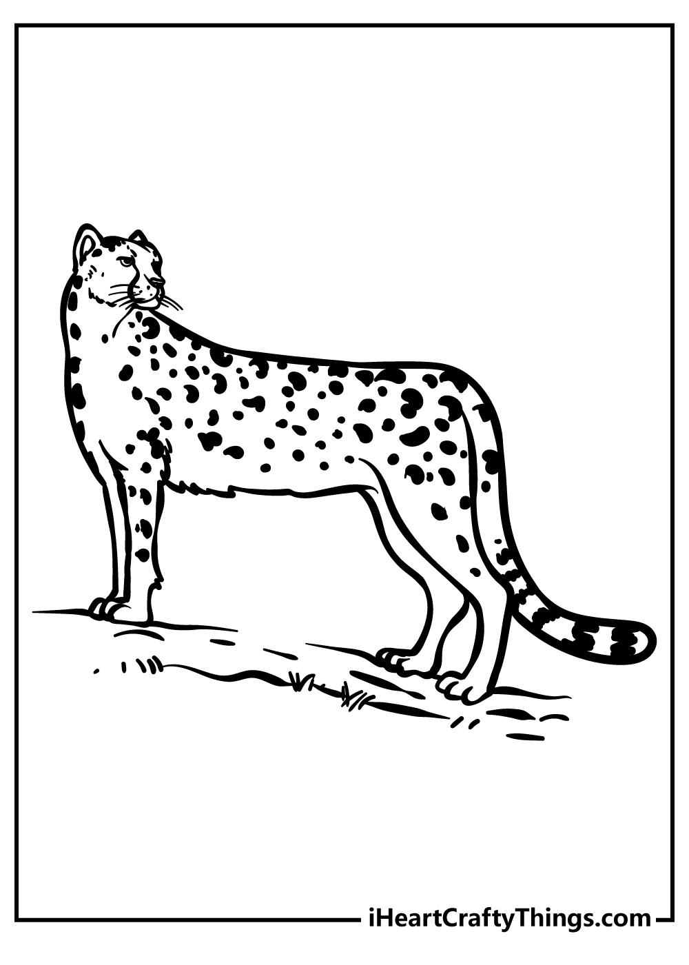 full size cheetah coloring book