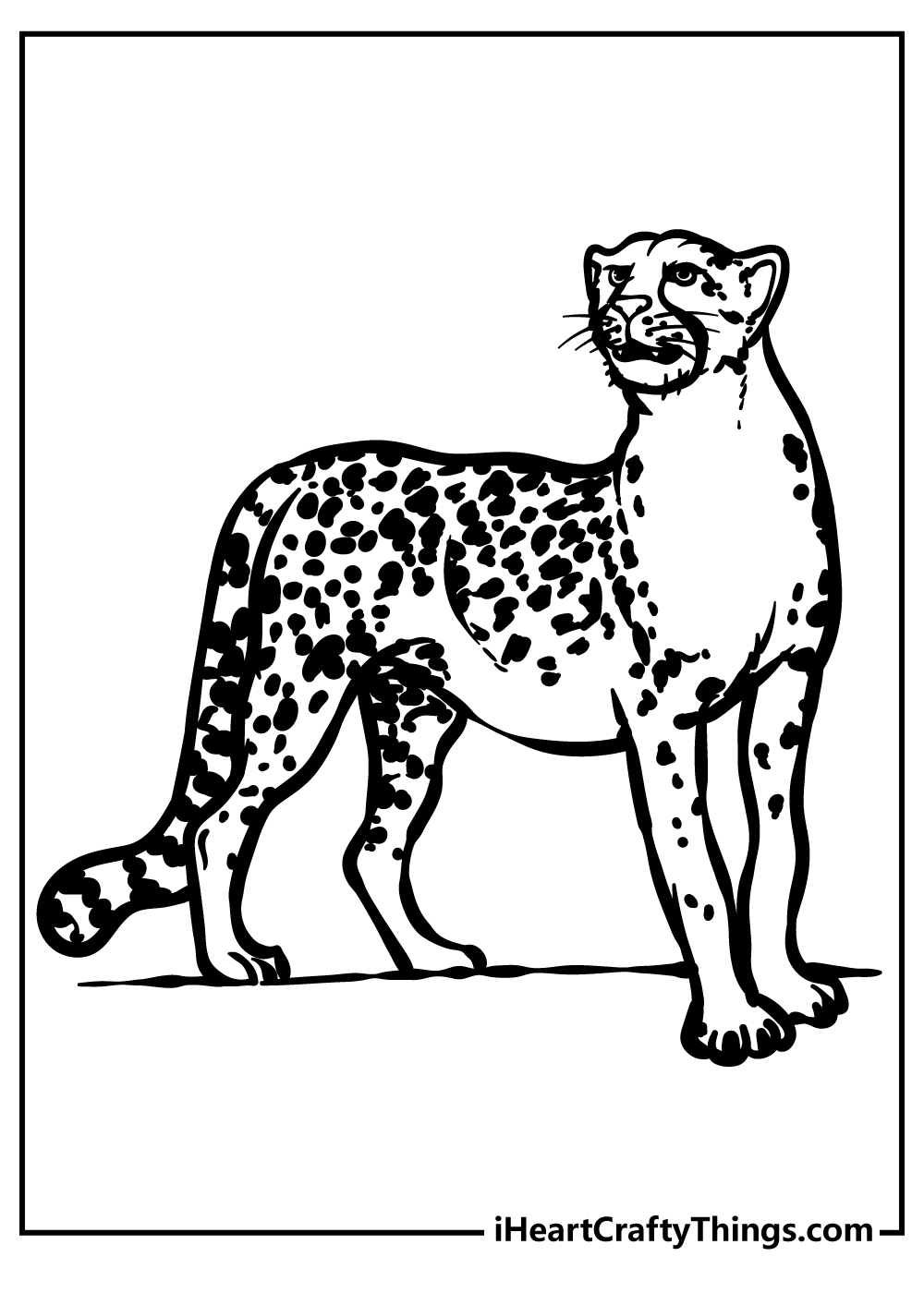 realistic cheetah drawing