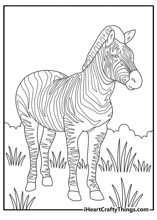 A Grevy zebra stands near a thorn bush on this detailed sheet