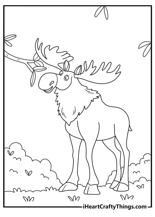A bull reaches for high leaves from a tall shrub in this simple printable
