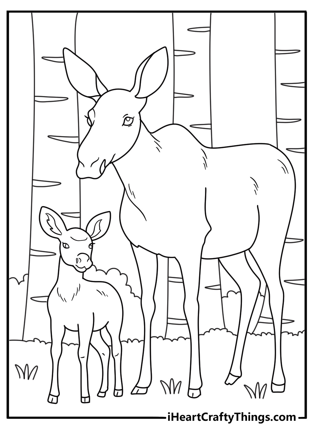 A cow moose leads her calf through a birch grove in this easy coloring sheet