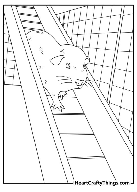 A guinea pig stands beside a small wooden ramp in this coloring sheet