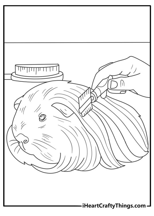 A long haired guinea pig rests beside a grooming brush in this free page