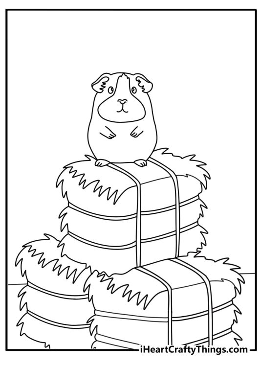 A short haired guinea pig sits near a pile of hay in this detailed sheet