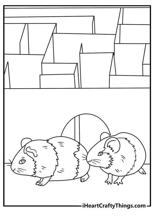 A tiny guinea pig explores a cardboard maze in this easy coloring sheet