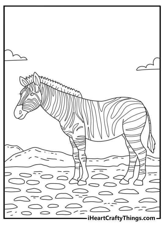 A young zebra walks beside scattered stones in this coloring sheet