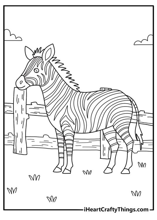 A zoo enclosure with a zebra near a wooden gate makes a simple coloring page