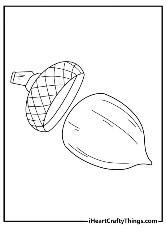Acorn coloring sheet with hat shaped cap removed beside the nut