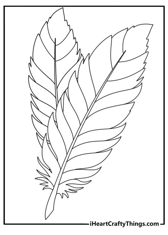 Adult stress relief coloring page with layered feathers and fine lines
