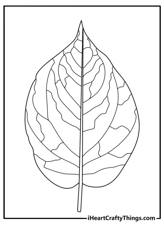 Adult stress relief coloring page with layered leaf veins