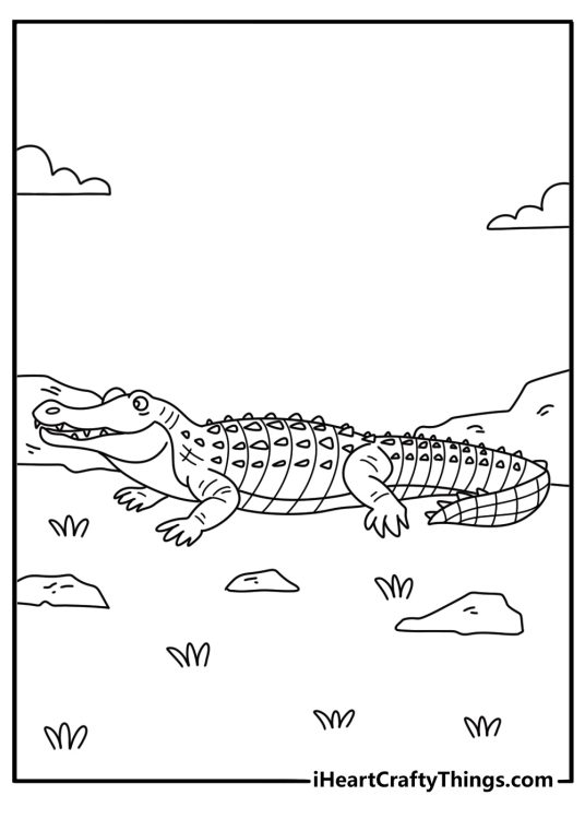 Alligator coloring page free with an open jaw showing rows of teeth in side view