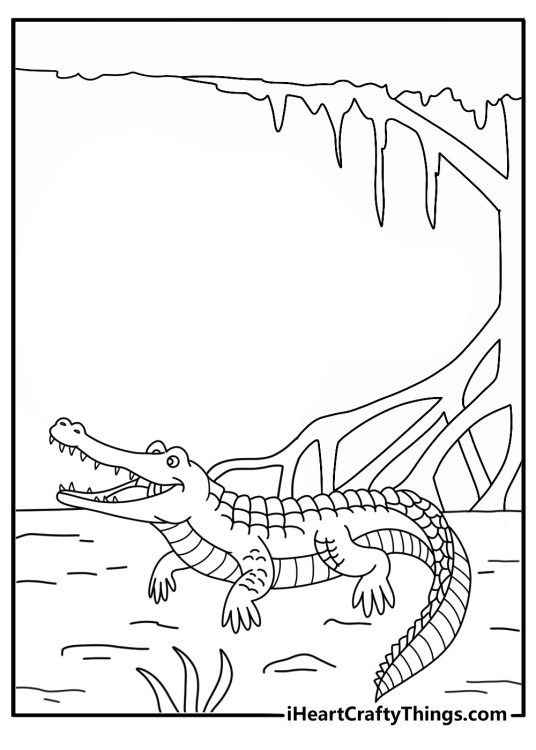 Alligator coloring page printable with a reptile crawling through mangrove roots