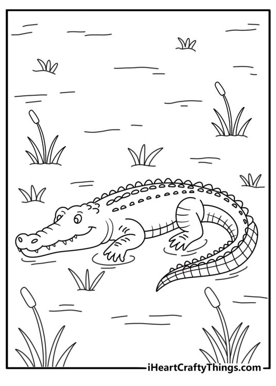Alligator coloring page with a large reptile resting in marsh grass near cattails