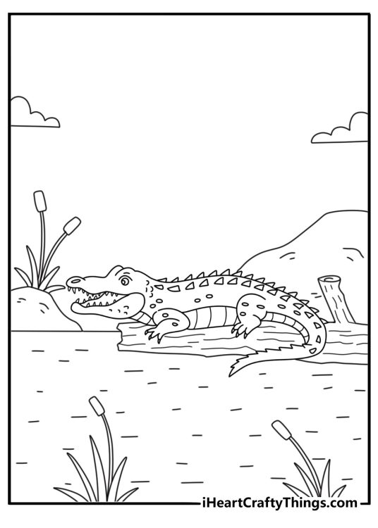 Alligator coloring pages for kids with a reptile sunning on a log beside reeds