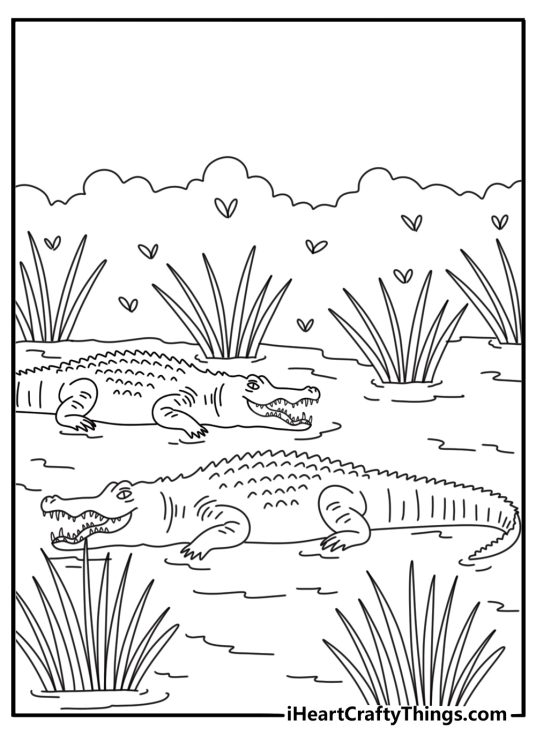 Alligator coloring pages to print with two gators in a wetland near tall grass