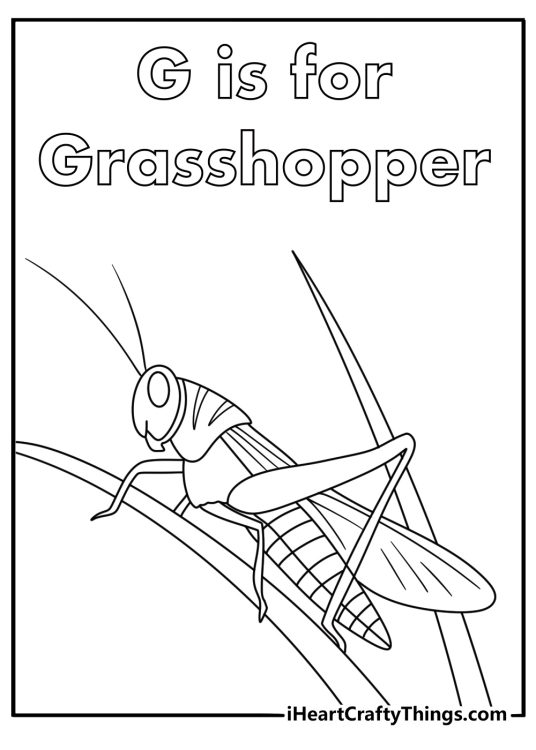 Alphabet letter G coloring page with a grasshopper on tall grass