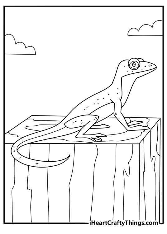 Anole on garden fence post free coloring printable