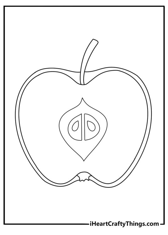 Apple cut in half with visible seeds simple fruit coloring page for kids