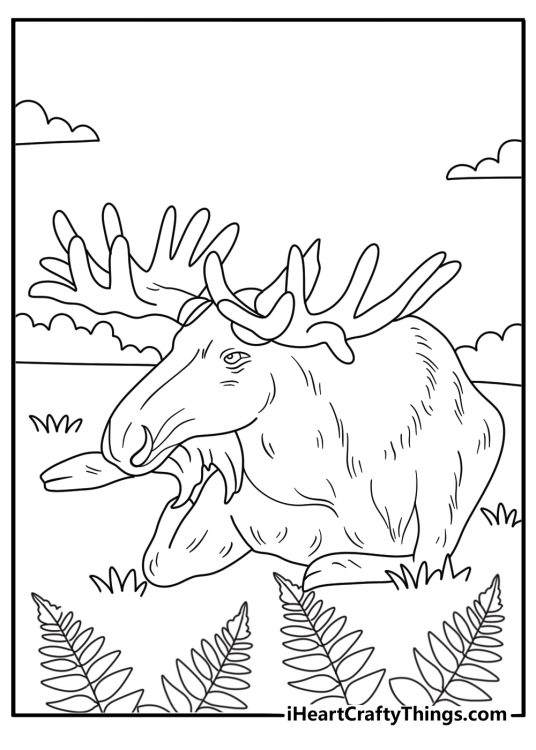 Autumn ferns surround a resting moose in this seasonal coloring page