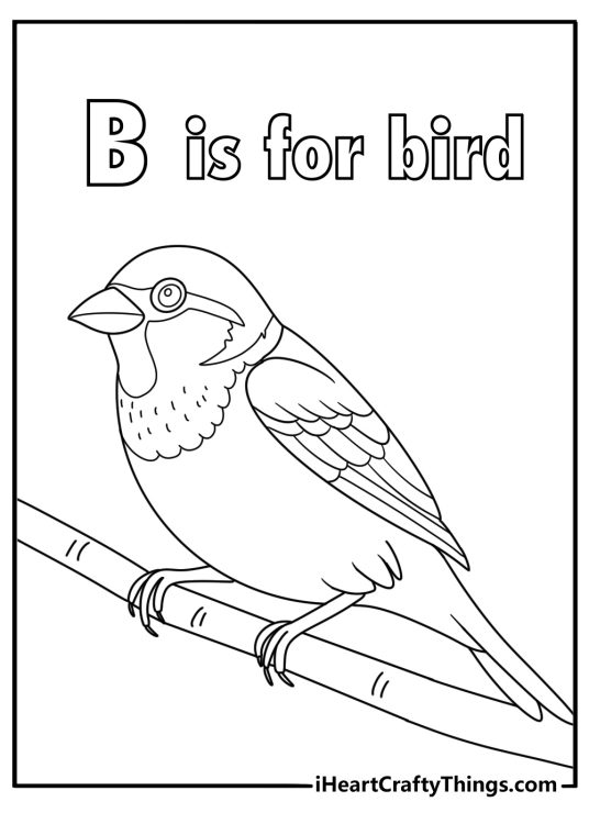 B is for bird coloring sheet with perched sparrow on branch