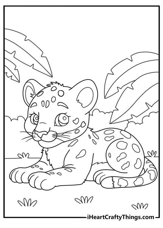Baby jaguar coloring page exploring rainforest floor with large leaves