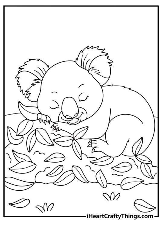 Baby koala coloring page with joey sleeping in soft leaf pile